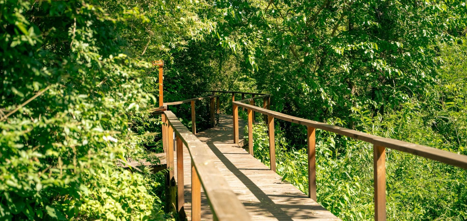 Breezes of the Lake Glamping & Events