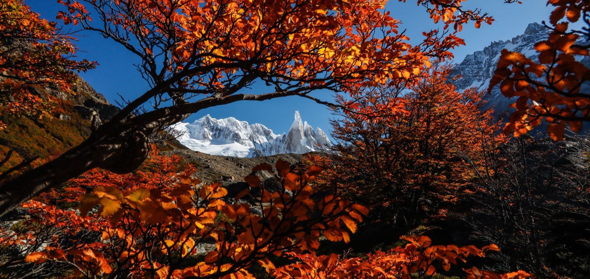 Patagonia Travellers Hostel
