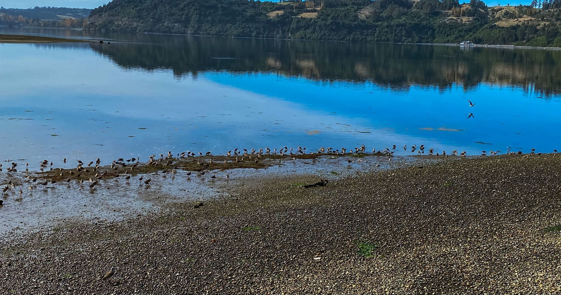 Cabañas Palafitos Dalmacia