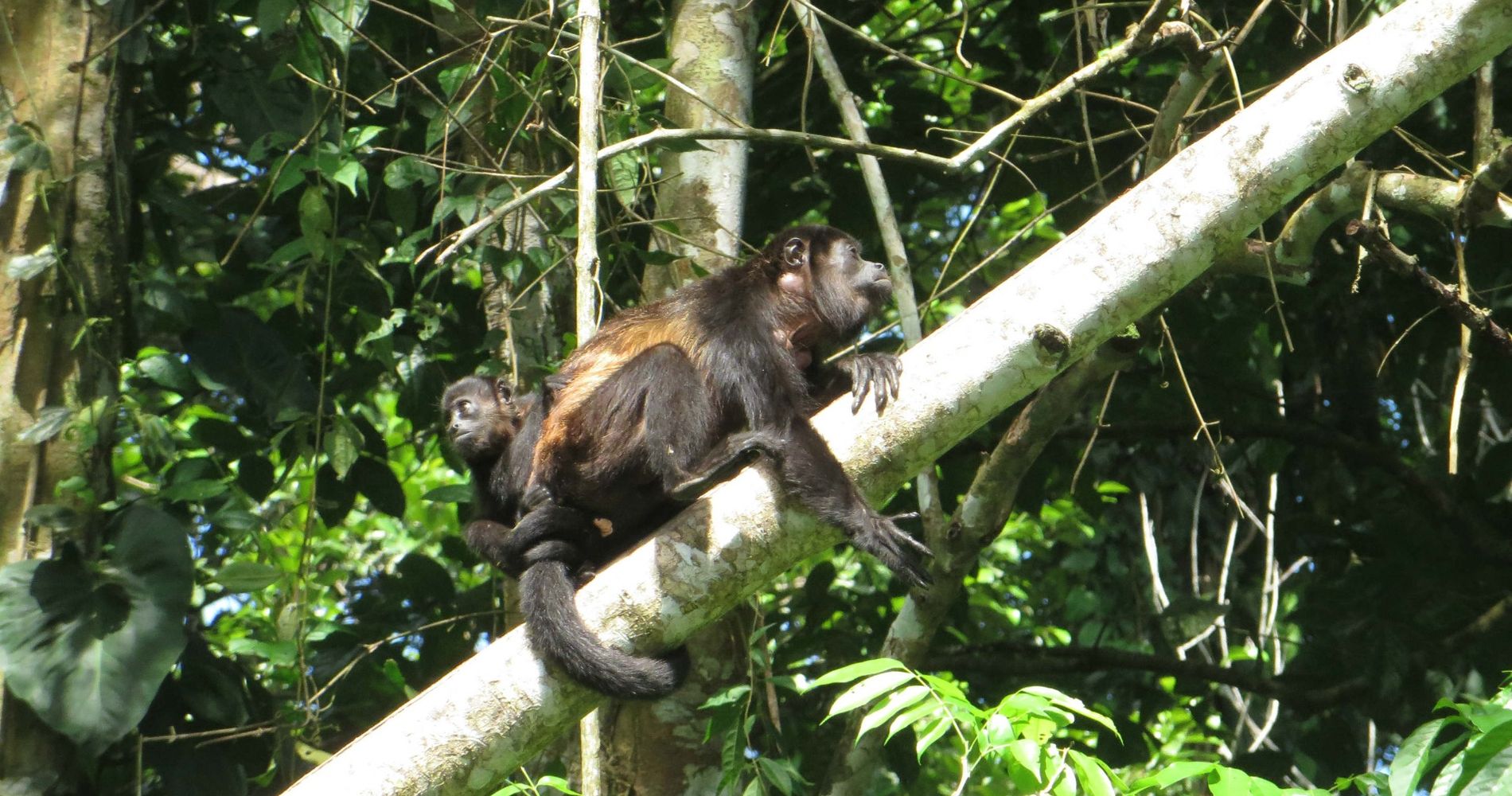 La Kukula Lodge