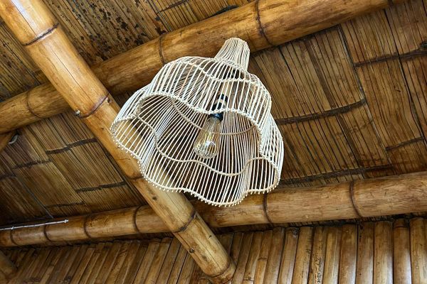 Cabaña Tangara Real