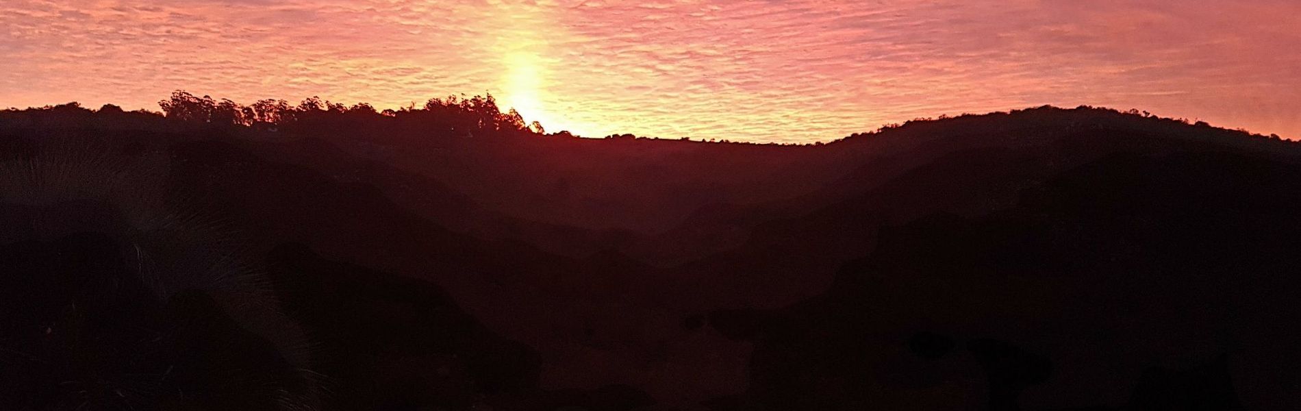 Mesón de Las Cañas