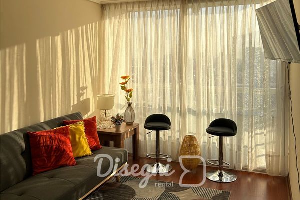 Disegni 17 - Departamento Santiago, Cercano a Metro y Cultura