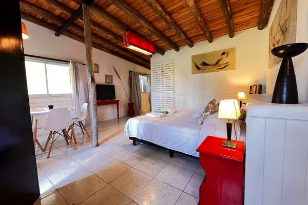 APART AL CAMPO PURA SANGRE