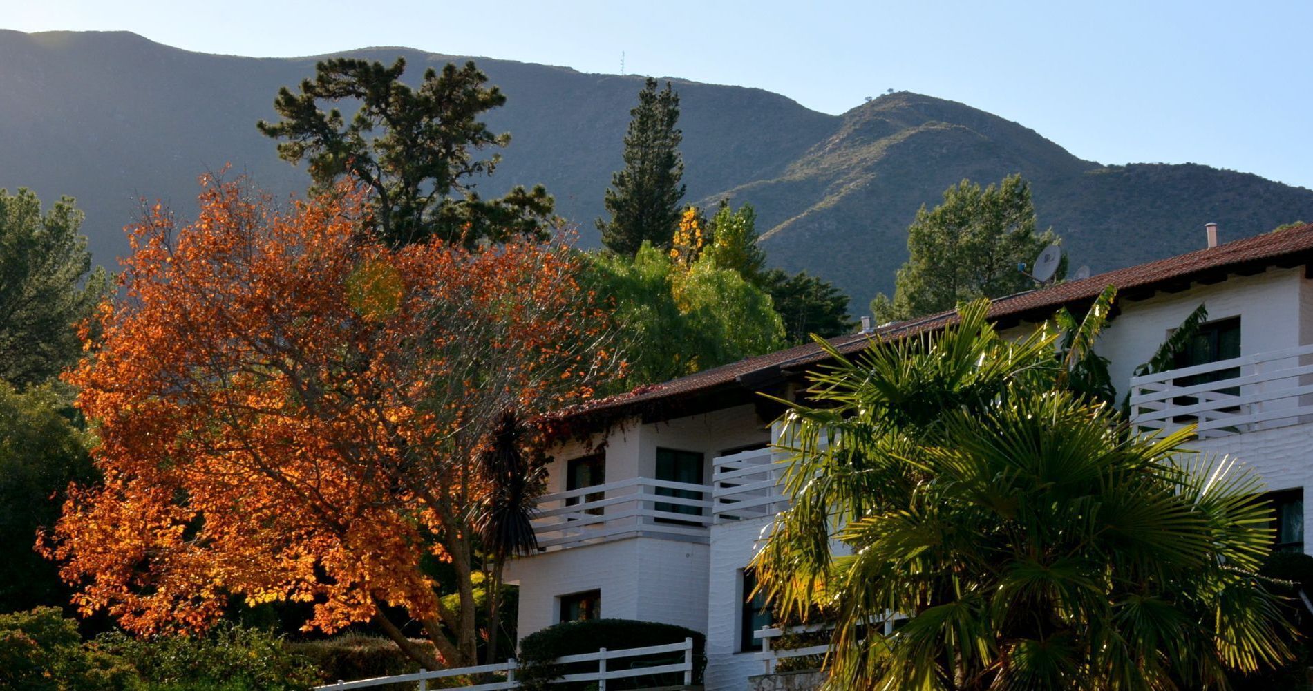 LAS ARDILLAS - CABAÑAS & SUITES - LA FALDA