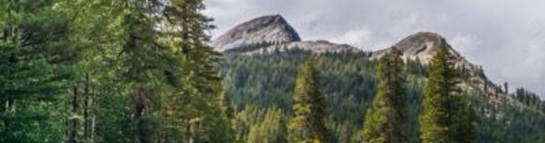 Apartamentos Pacífico