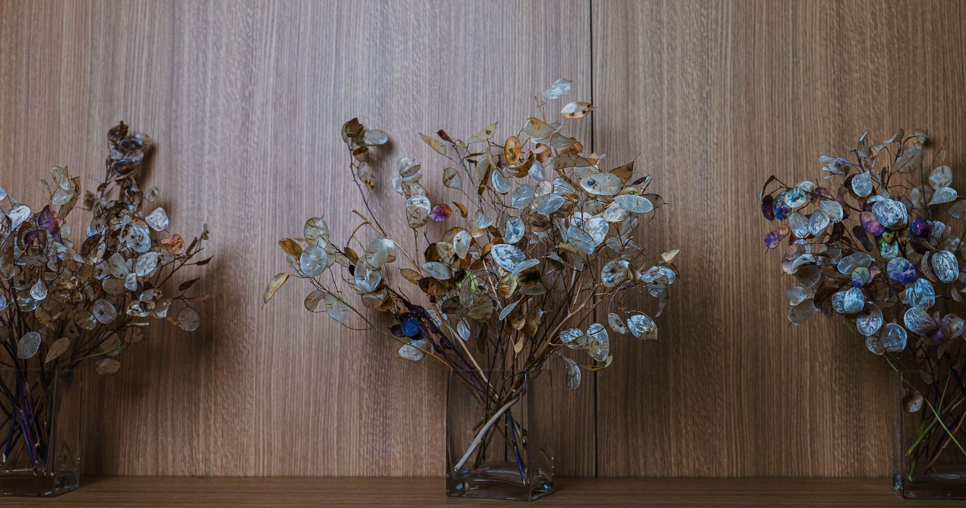 Plaza Paradiso Petit Hotel