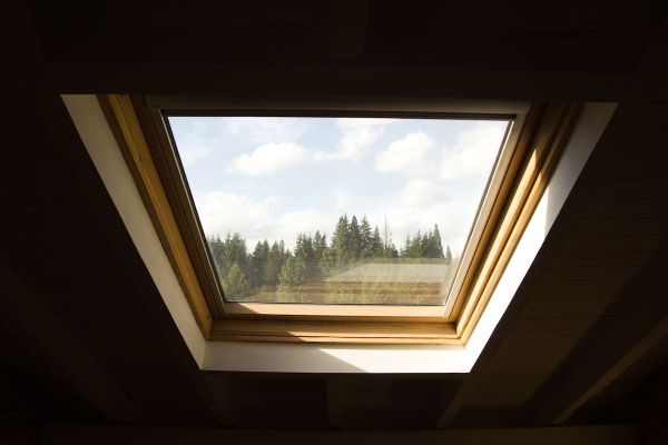 Junior Suite con vista al bosque 