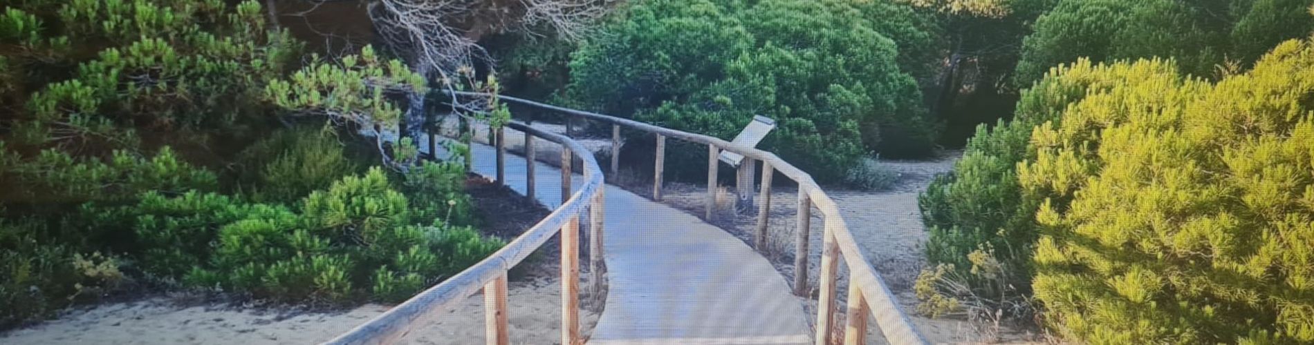 Apartments Luxury Costa