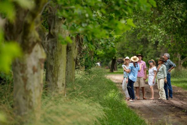 Día de campo Gaucho