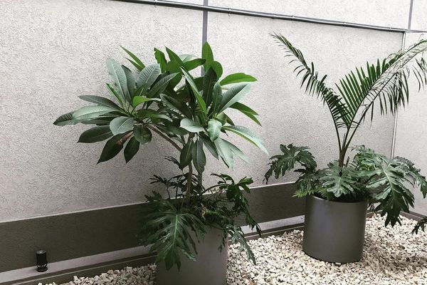 November Suites en el centro de Salta