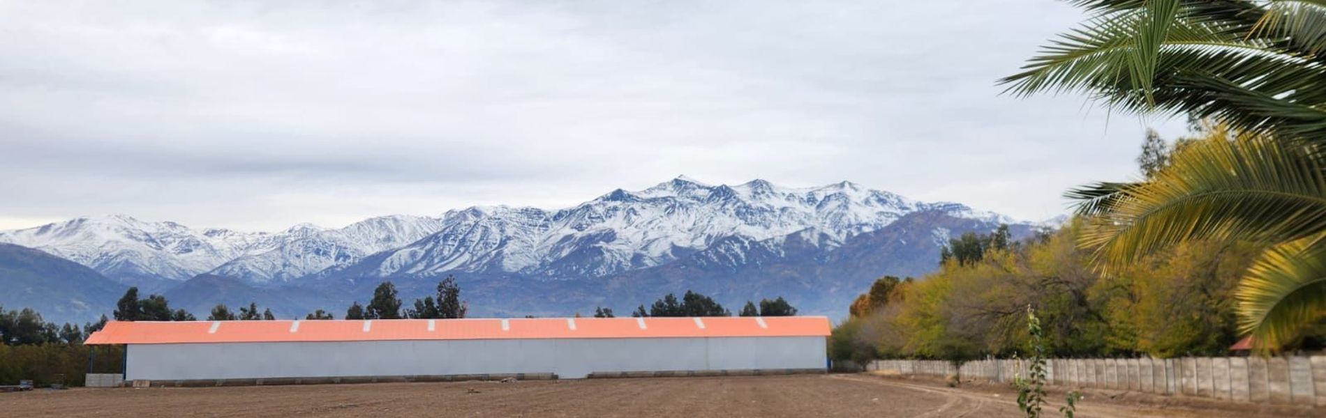 Hotel San Felipe El Real