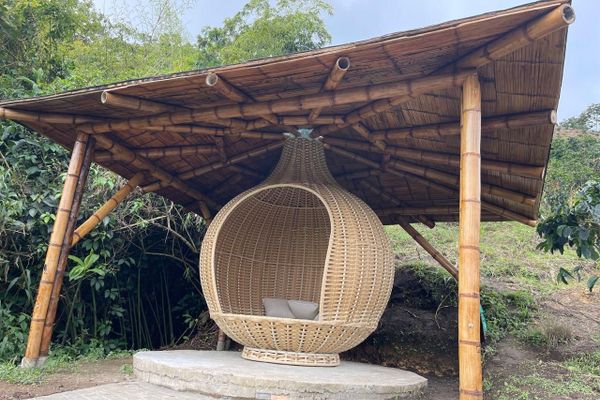 Cabaña Tangara Real