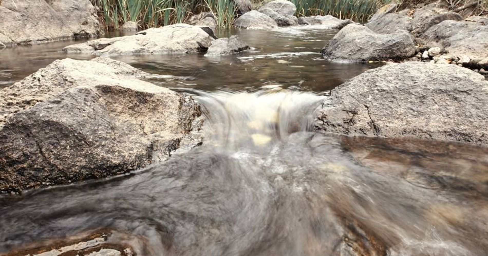 La Anita Lofts de Montaña