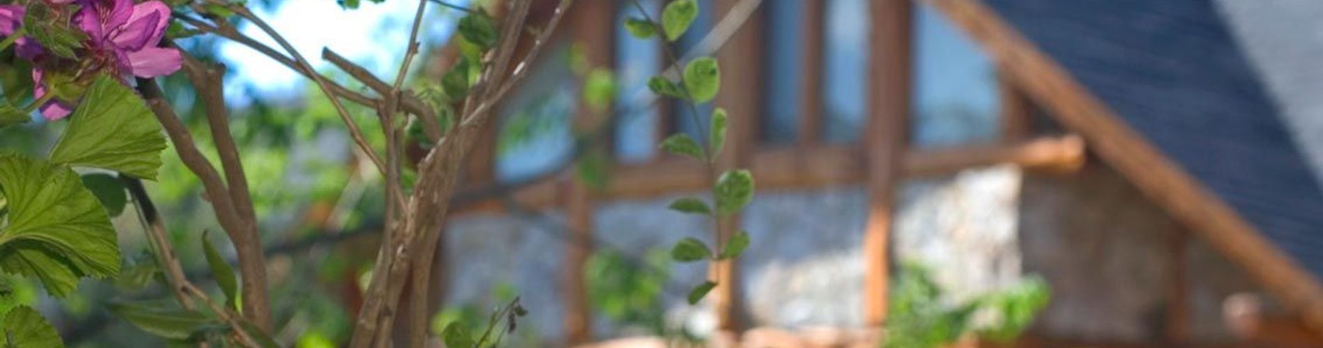 Pillmayken Apart & Spa