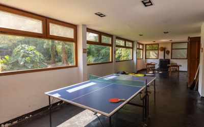 BosquedeBohemia - Ping Pong