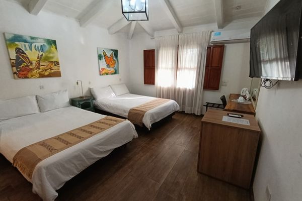 Habitación Suite Vista Selva