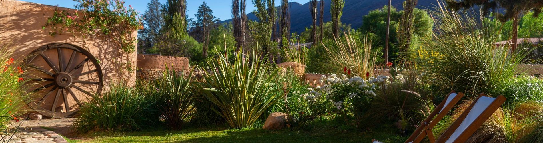 L'hôtel-boutique Arcabuceros House