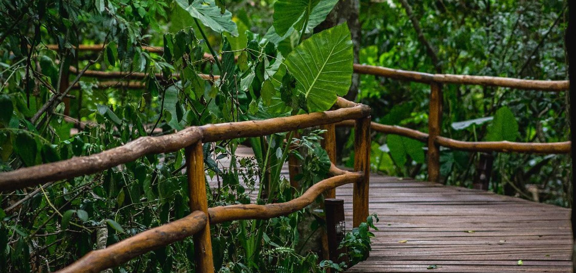 La Aldea de la Selva Lodge