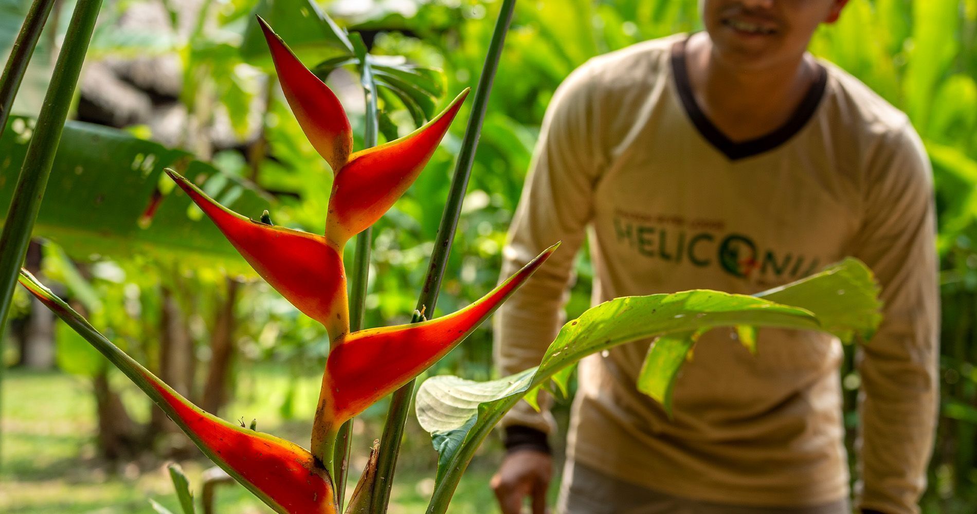 Heliconia Amazon River Lodge