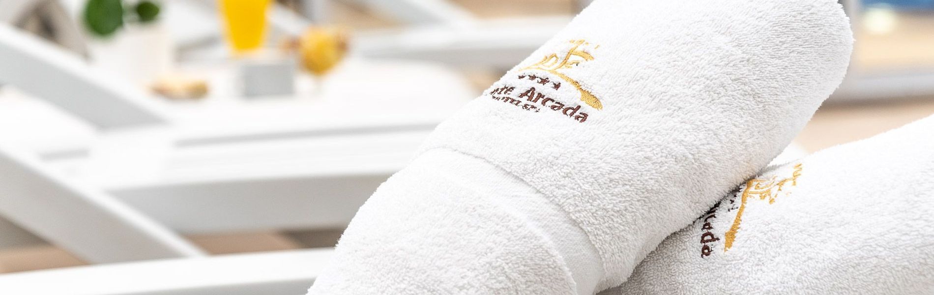 Hotel Spa Fonte Arcada