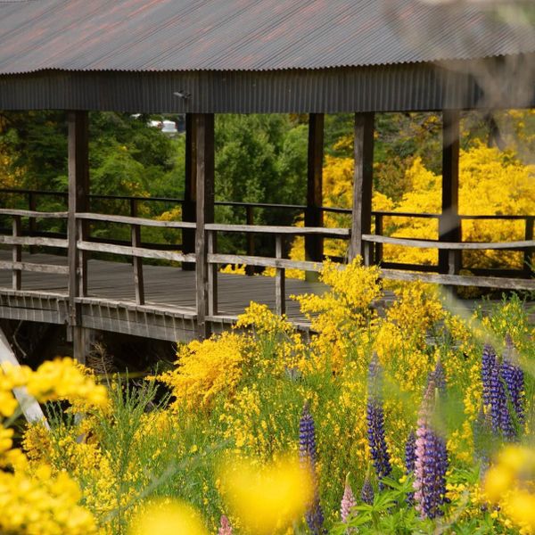 Departamentos De El Mercado