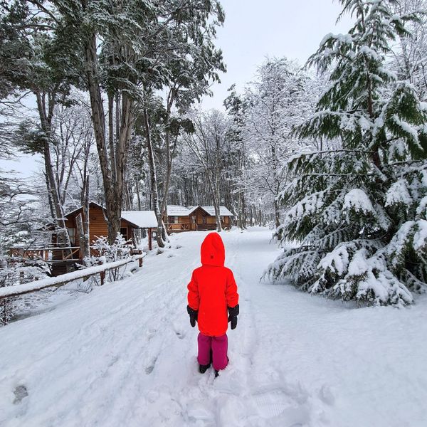 Cabañas Aldea Nevada