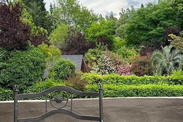 Habitación Triple Executive 