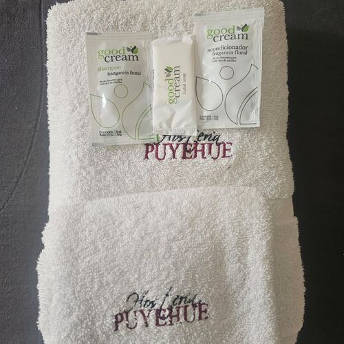 Hostería Puyehue