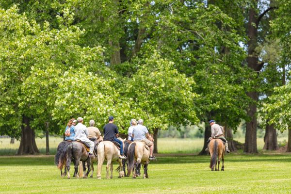 Día de campo Gaucho
