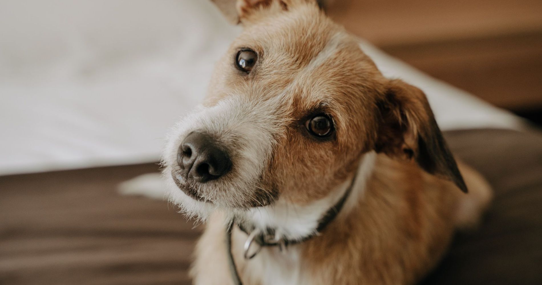 Hotel Calina Casa De Huespedes