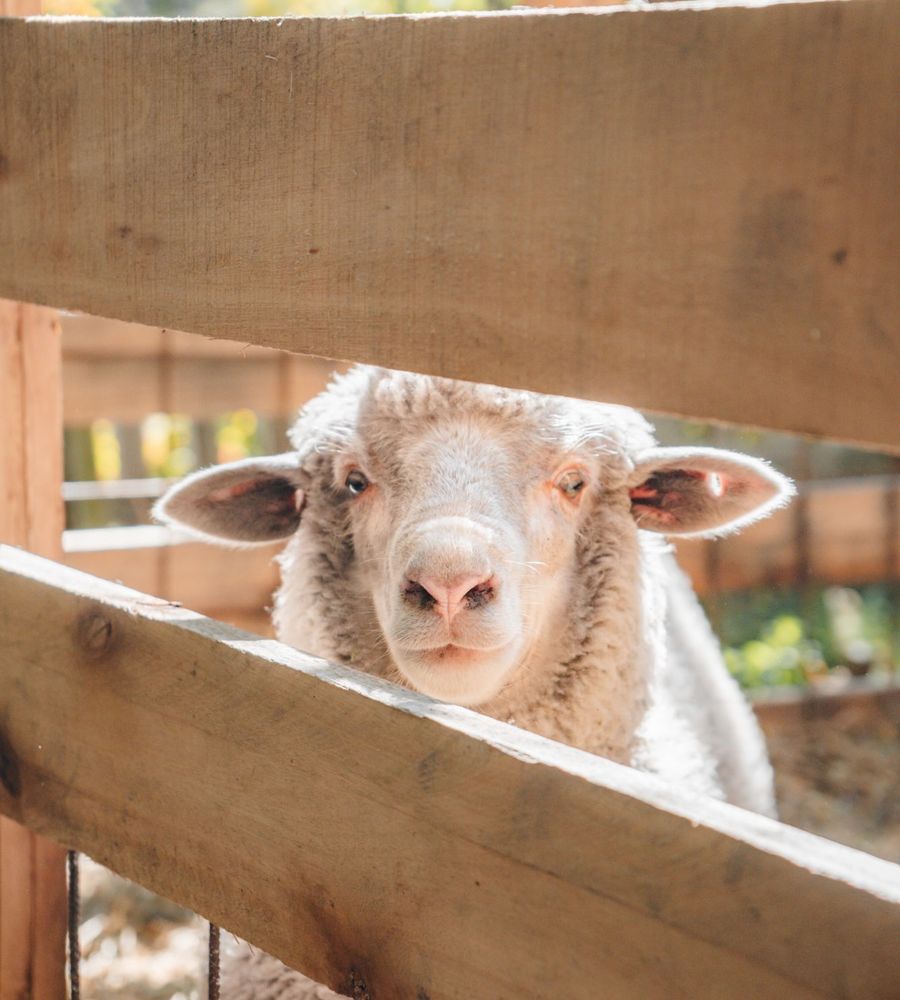 EQUS POSADA DE CAMPO