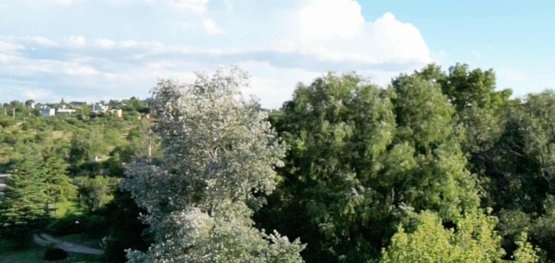 Glamping Tica Nativo