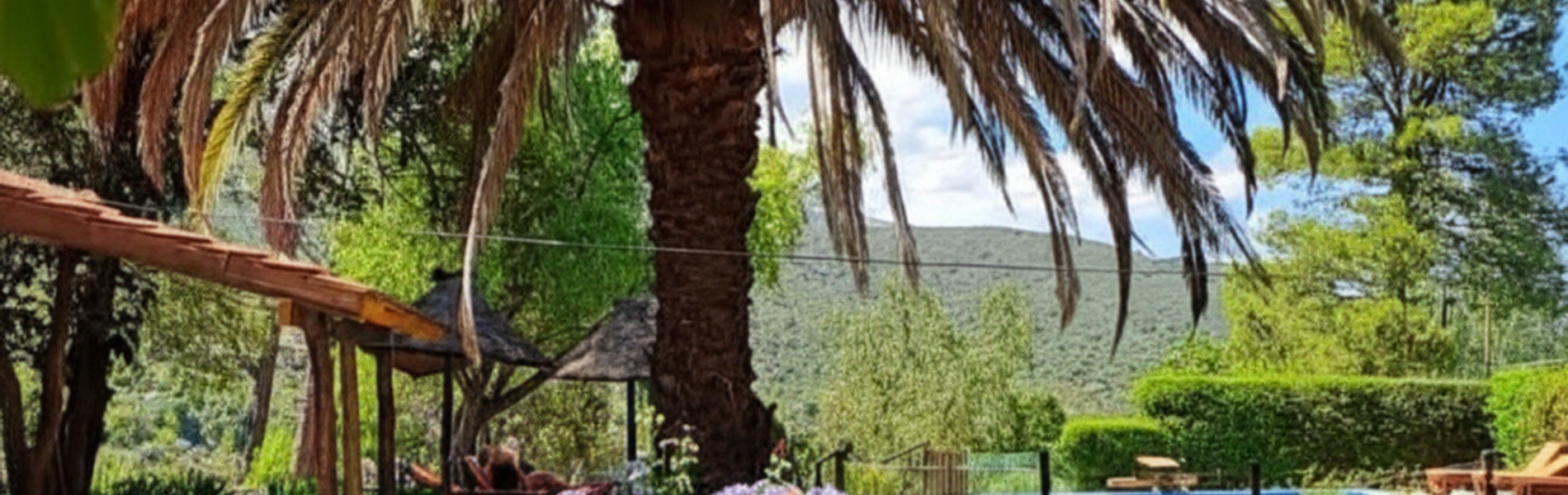 Hosteria Alta Montaña