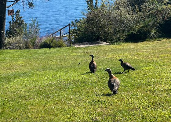 Costa Brava Apart Hotel & Suites