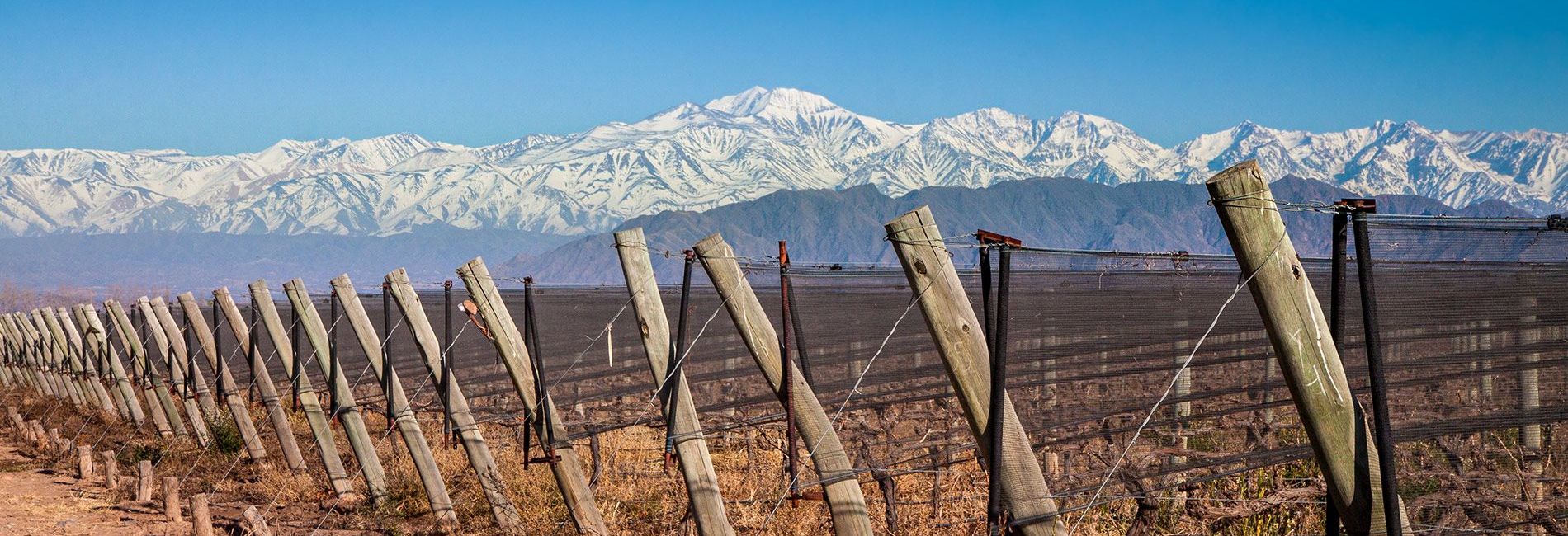 Paradise Departamentos