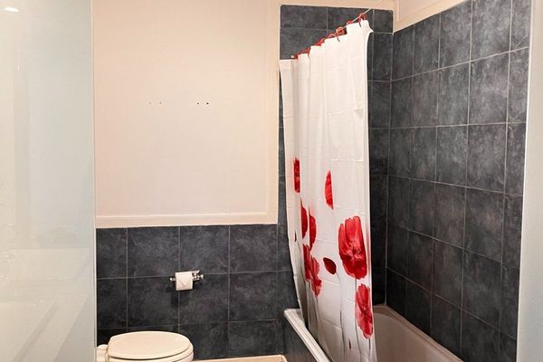 APART AL CAMPO PURA SANGRE