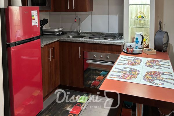 Disegni 17 - Departamento Santiago, Cercano a Metro y Cultura