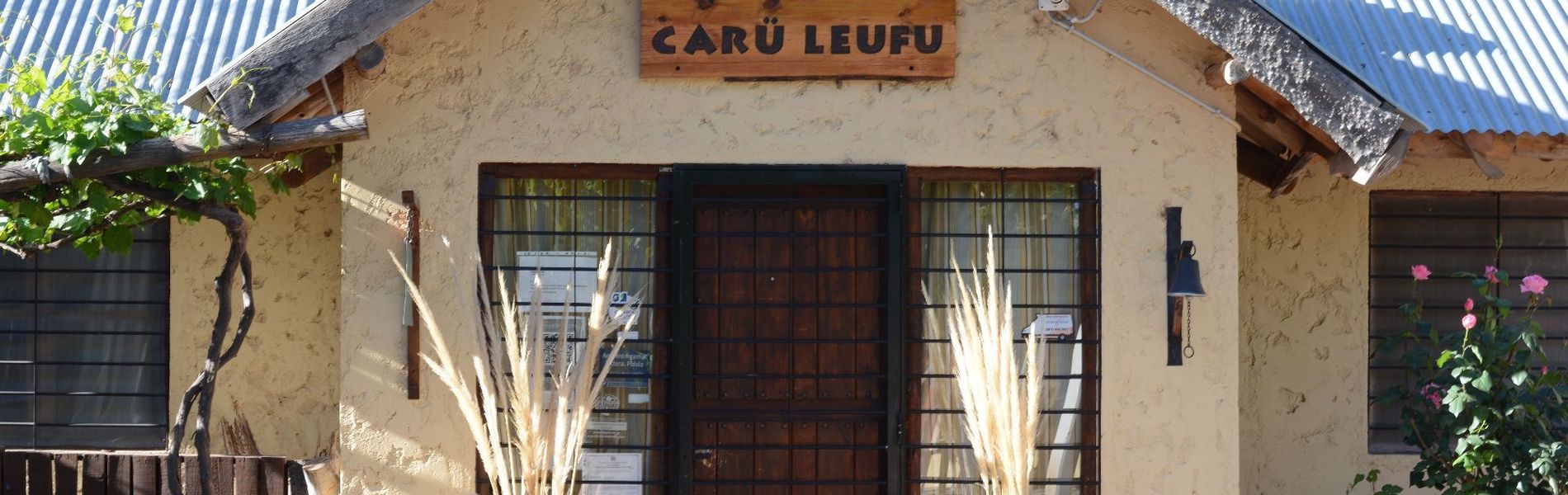 Carü Leufu Cabins