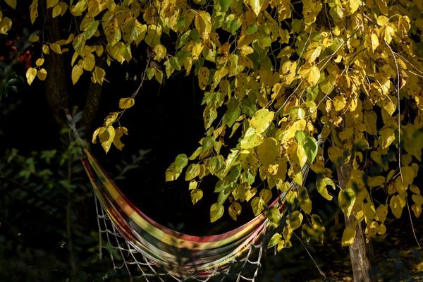 Cabaña Nuevo Amanecer 1