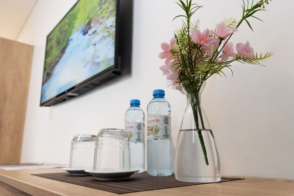 Habitación Standard Twin