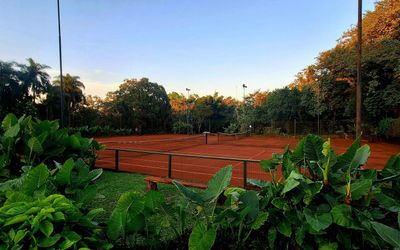 RaicesEsturionLodge - Cancha de Tenis