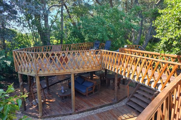 Domo Ilusión Silvestre