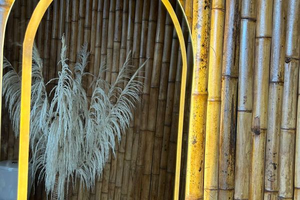 Cabaña Tangara Real