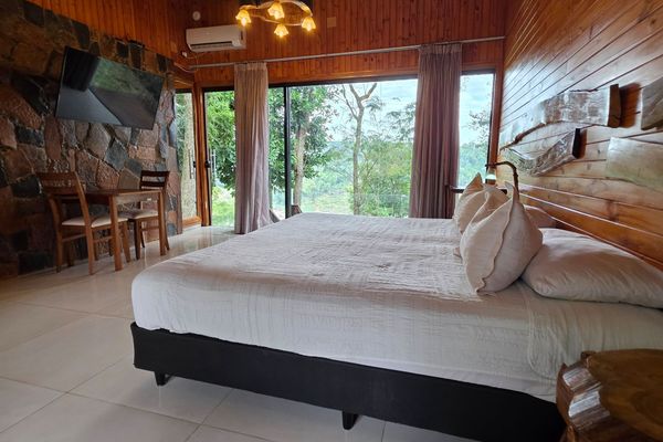 Habitación Suite con vistas