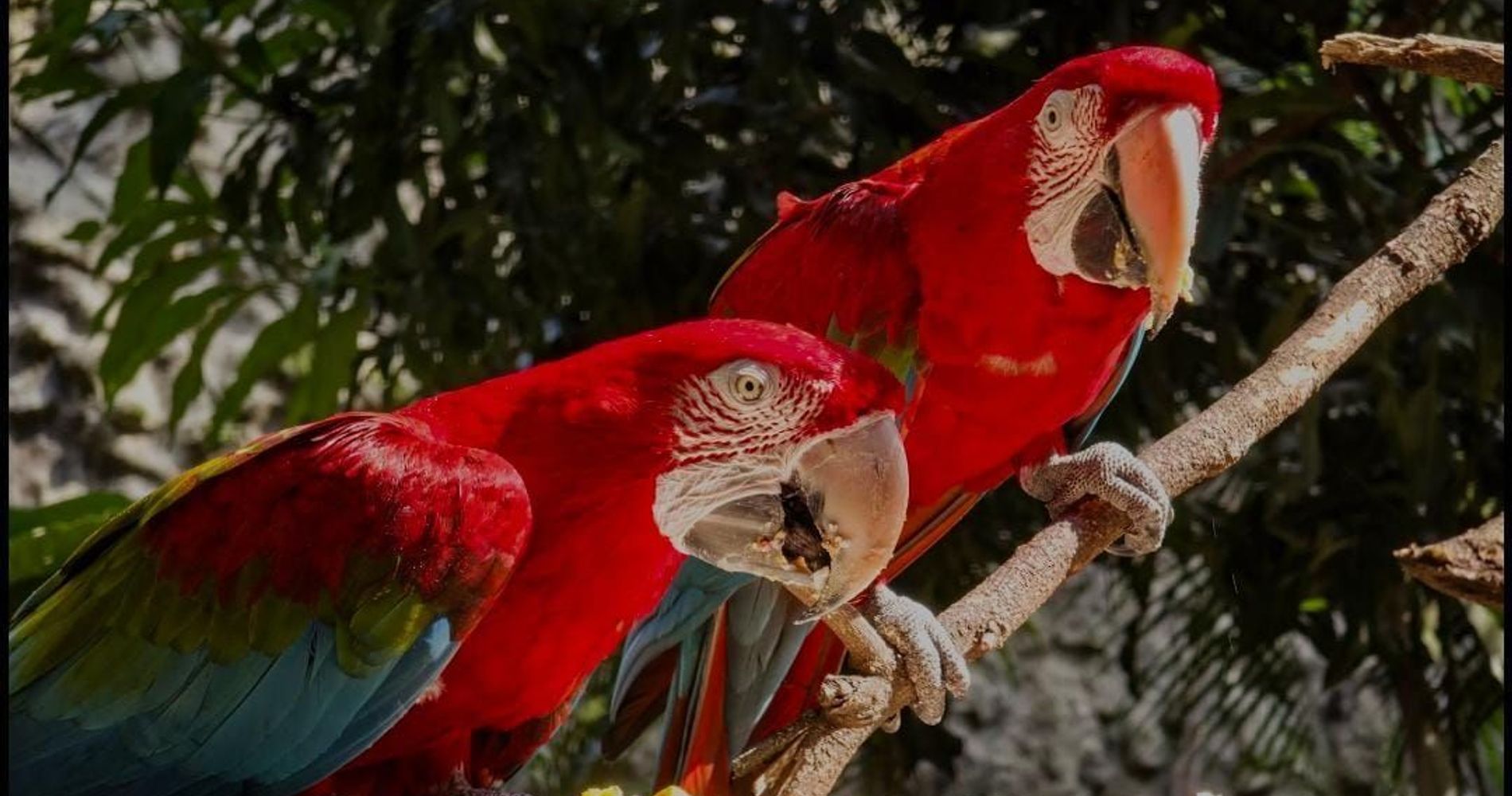 Hotel Riviera Boutique