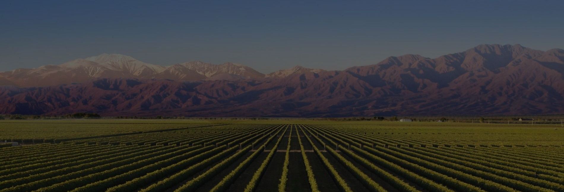 Villaggio Hotel Boutique