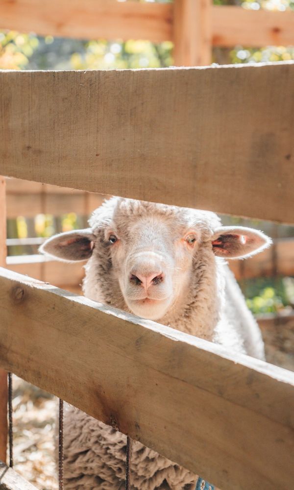 EQUS POSADA DE CAMPO