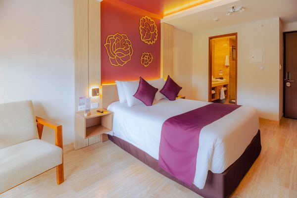 Suite Matrimonial Estándar