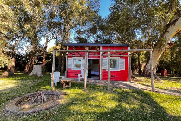 APART AL CAMPO PURA SANGRE